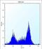 P21 (RAC1) Activated Kinase 4 antibody, abx028063, Abbexa, Western Blot image 