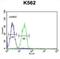 CD300 Molecule Like Family Member F antibody, abx034584, Abbexa, Flow Cytometry image 