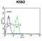 Immune receptor expressed on myeloid cells 1 antibody, abx034584, Abbexa, Flow Cytometry image 