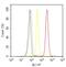 Pannexin 2 antibody, 42-2800, Invitrogen Antibodies, Flow Cytometry image 