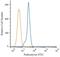 Podocalyxin Like antibody, NB110-41503, Novus Biologicals, Flow Cytometry image 