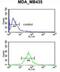 TCF3 Fusion Partner antibody, abx034315, Abbexa, Flow Cytometry image 