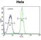 ADP-Ribosylhydrolase Like 2 antibody, abx034487, Abbexa, Flow Cytometry image 