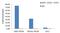 Signal Transducer And Activator Of Transcription 6 antibody, MA5-15659, Invitrogen Antibodies, Chromatin Immunoprecipitation image 