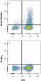 TNF Receptor Superfamily Member 4 antibody, FAB3388P, R&D Systems, Flow Cytometry image 
