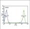 Proteasome Subunit Beta 1 antibody, PA5-49648, Invitrogen Antibodies, Flow Cytometry image 