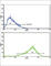 AP-2 complex subunit alpha-2 antibody, abx033993, Abbexa, Western Blot image 