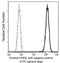 Farnesyl Diphosphate Synthase antibody, GTX02002, GeneTex, Flow Cytometry image 