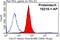 Cell Division Cycle 37 antibody, 10218-1-AP, Proteintech Group, Flow Cytometry image 