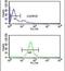 Beta-1,3-Galactosyltransferase 6 antibody, PA5-24932, Invitrogen Antibodies, Flow Cytometry image 