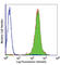 Thrombospondin Type 1 Domain Containing 1 antibody, 122102, BioLegend, Flow Cytometry image 