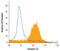 Integrin Subunit Beta 6 antibody, BAF4155, R&D Systems, Flow Cytometry image 