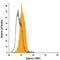 Liver-type arginase antibody, IC5868F, R&D Systems, Flow Cytometry image 