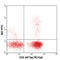 Interferon Gamma antibody, 506504, BioLegend, Immunocytochemistry image 