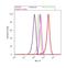 NME/NM23 Nucleoside Diphosphate Kinase 1 antibody, 702425, Invitrogen Antibodies, Flow Cytometry image 