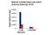 Nuclear Receptor Corepressor 1 antibody, 34271S, Cell Signaling Technology, Chromatin Immunoprecipitation image 