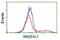 DNA repair protein RAD51 homolog 2 antibody, NBP2-01220, Novus Biologicals, Flow Cytometry image 