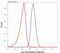 Matrix Metallopeptidase 3 antibody, 701285, Invitrogen Antibodies, Flow Cytometry image 