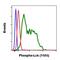 Intestinal Cell Kinase antibody, MA5-28017, Invitrogen Antibodies, Flow Cytometry image 