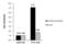 General Transcription Factor IIE Subunit 2 antibody, PA5-28177, Invitrogen Antibodies, Chromatin Immunoprecipitation image 