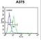 Citrate Synthase antibody, LS-C167073, Lifespan Biosciences, Flow Cytometry image 