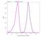 Matrix Metallopeptidase 16 antibody, 701306, Invitrogen Antibodies, Flow Cytometry image 