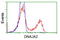 DnaJ homolog subfamily A member 2 antibody, TA501711, Origene, Flow Cytometry image 