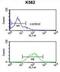 Gamma-Aminobutyric Acid Type A Receptor Gamma3 Subunit antibody, abx032311, Abbexa, Flow Cytometry image 