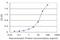 ADP Ribosylation Factor 5 antibody, H00000381-M02, Novus Biologicals, Enzyme Linked Immunosorbent Assay image 