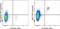 Interferon Regulatory Factor 7 antibody, 25-5375-42, Invitrogen Antibodies, Flow Cytometry image 