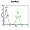 Hydroxyacyl-CoA Dehydrogenase Trifunctional Multienzyme Complex Subunit Beta antibody, abx034545, Abbexa, Western Blot image 