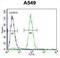 Transcription factor SOX-3 antibody, abx026586, Abbexa, Flow Cytometry image 
