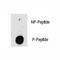 Integrin Linked Kinase antibody, F48545-0.4ML, NSJ Bioreagents, Dot Blot image 