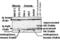 Diablo IAP-Binding Mitochondrial Protein antibody, ALX-804-333-C100, Enzo Life Sciences, Immunoprecipitation image 