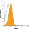 ADAM Metallopeptidase Domain 10 antibody, IC1427A, R&D Systems, Flow Cytometry image 