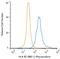 Major Histocompatibility Complex, Class I, B antibody, NB100-64159PE, Novus Biologicals, Flow Cytometry image 