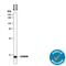S100 Calcium Binding Protein A8 antibody, AF3059, R&D Systems, Western Blot image 