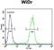 Early Growth Response 1 antibody, GTX81956, GeneTex, Flow Cytometry image 