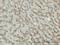 Tyrosinase antibody, H00007299-M01, Novus Biologicals, Immunohistochemistry frozen image 