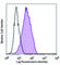 Cadherin 11 antibody, 368702, BioLegend, Immunoprecipitation image 