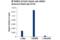 Tripartite Motif Containing 33 antibody, 90051S, Cell Signaling Technology, Chromatin Immunoprecipitation image 