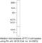 TNF Superfamily Member 15 antibody, 34-3900, Invitrogen Antibodies, Western Blot image 