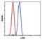 REL Proto-Oncogene, NF-KB Subunit antibody, PA5-17452, Invitrogen Antibodies, Flow Cytometry image 