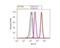 Caveolin 3 antibody, NB110-5029, Novus Biologicals, Flow Cytometry image 