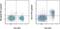 Interleukin 7 Receptor antibody, 25-1273-82, Invitrogen Antibodies, Flow Cytometry image 