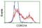 TACO antibody, NBP2-02779, Novus Biologicals, Flow Cytometry image 