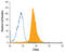 Stimulated by retinoic acid gene 6 protein antibody, MAB5904, R&D Systems, Flow Cytometry image 