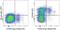 CD226 Molecule antibody, 17-2269-42, Invitrogen Antibodies, Flow Cytometry image 