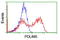 PDZ And LIM Domain 5 antibody, TA504448, Origene, Flow Cytometry image 