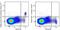 C-Type Lectin Domain Family 4 Member C antibody, 354234, BioLegend, Flow Cytometry image 